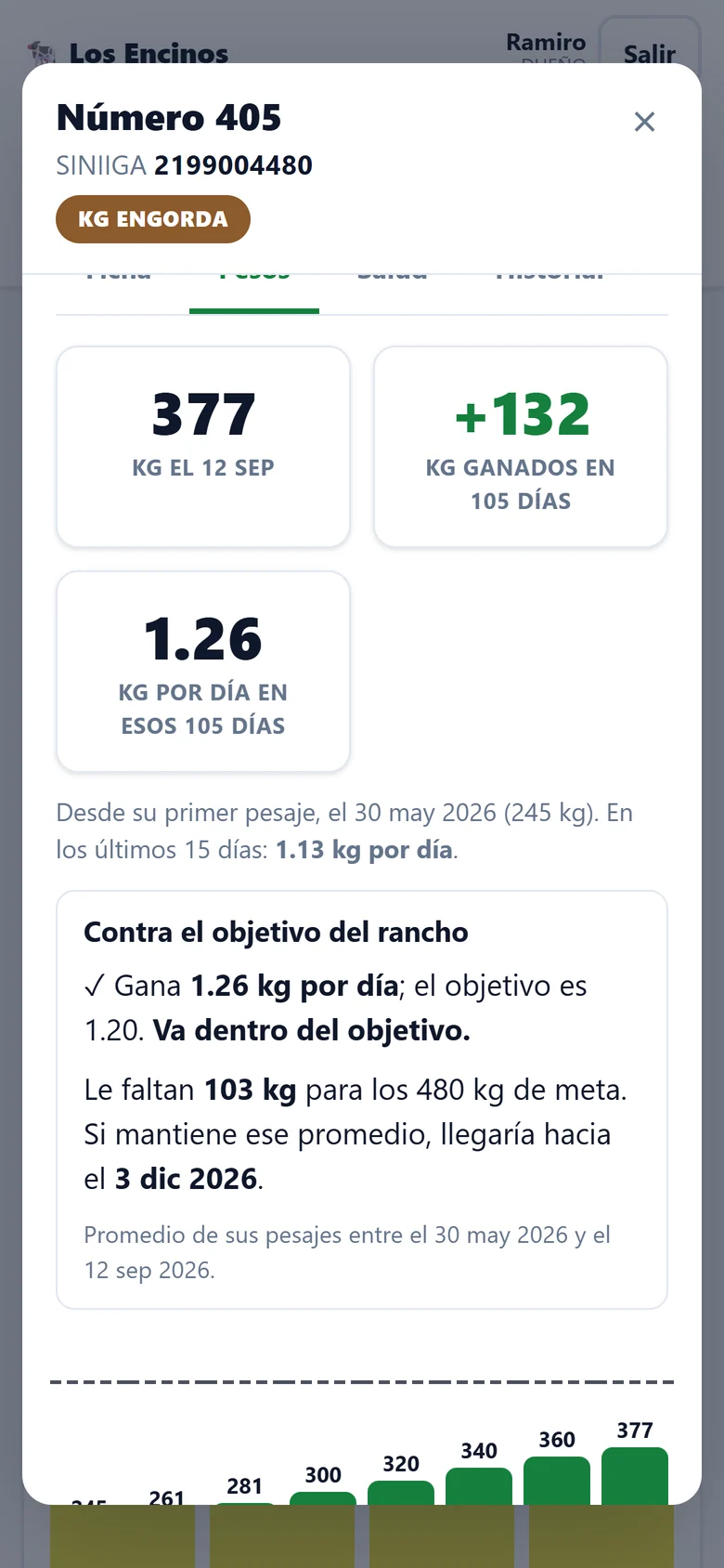 Pesos de un novillo: 377 kilos el 12 de septiembre, 132 kilos ganados en 105 días, y cómo va contra el objetivo del rancho.